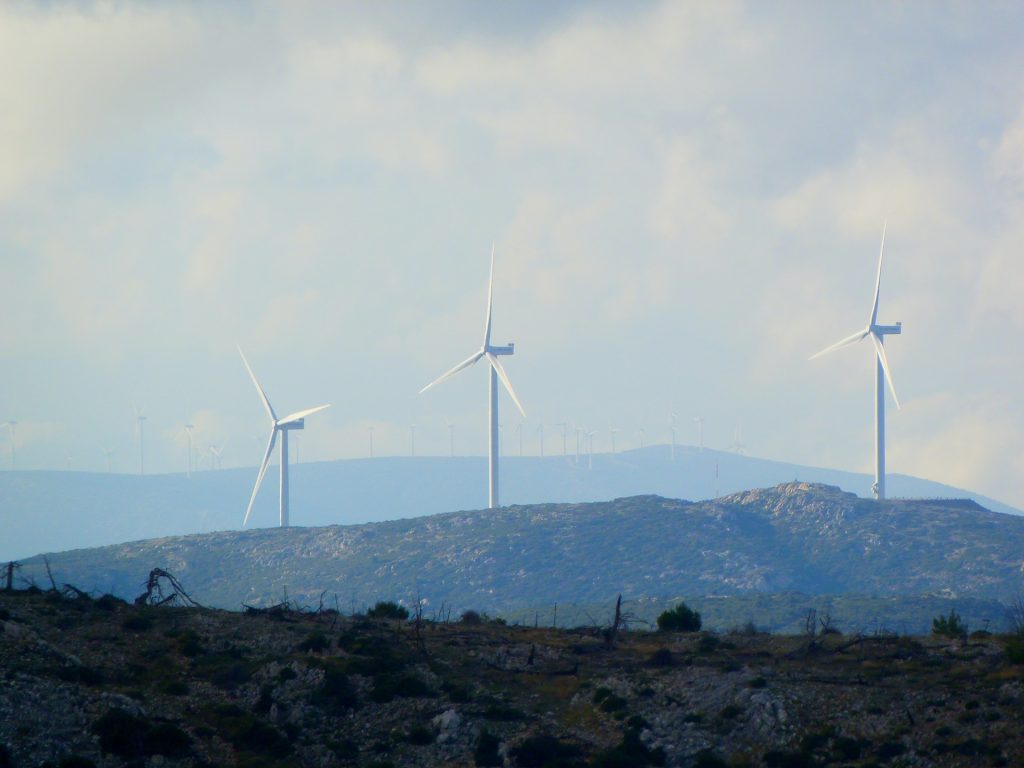 Memahami perkembangan green economy (ekonomi hijau) di Indonesia sebagai bisnis berkelanjuta